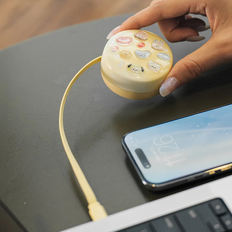 BT21 minini Retractable 100W USB-C Cable (150cm · 5ft)