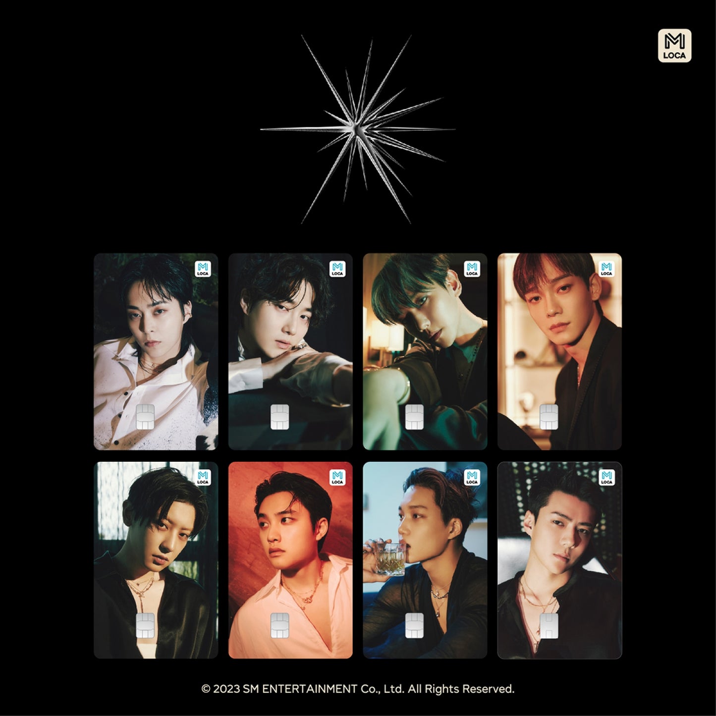 EXO EXIST Locamobility Card