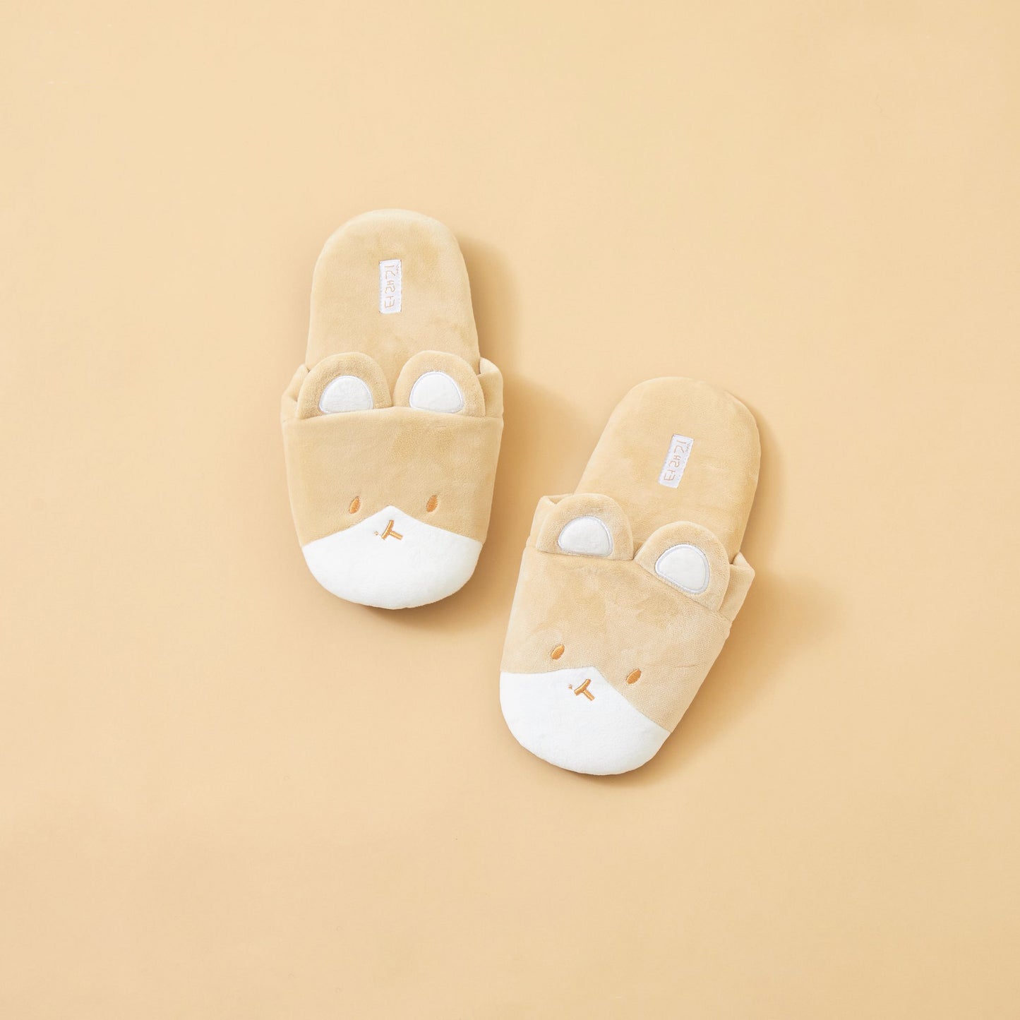 TEO-LAE-GI X SPAO Room Shoes
