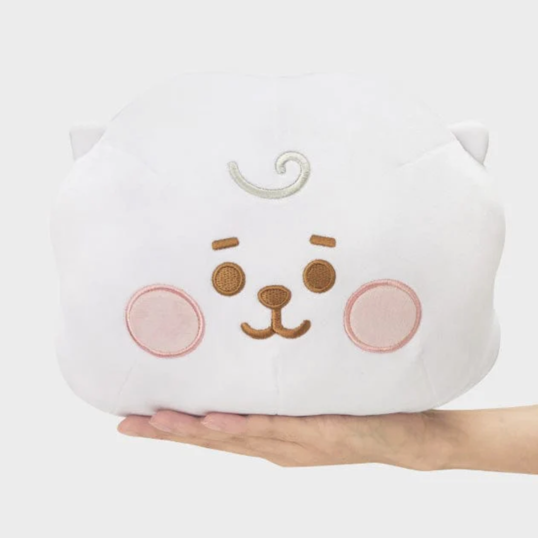 BT21 Baby Mochi Face Cushion (M)