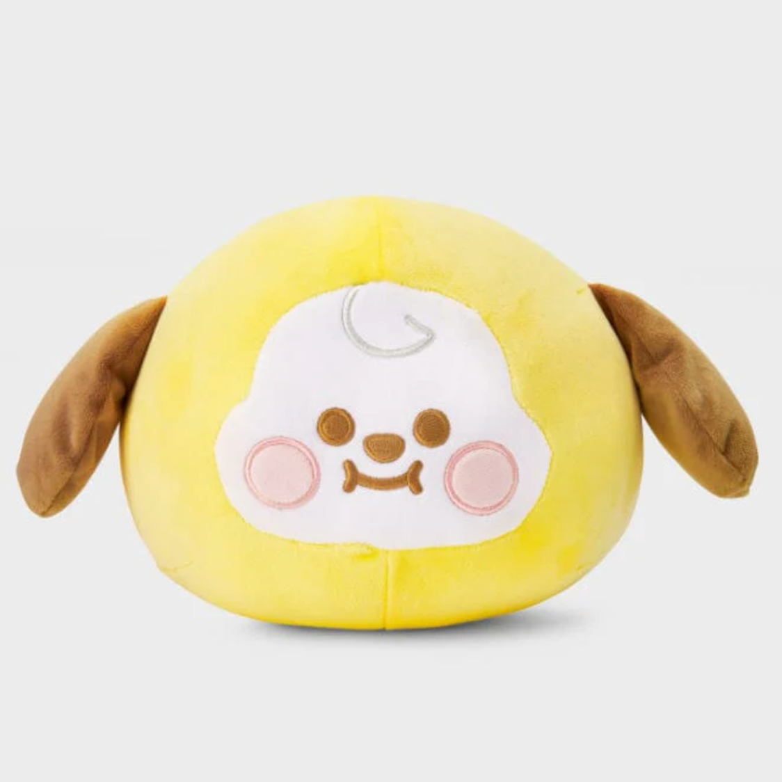 BT21 Baby Mochi Face Cushion (M)