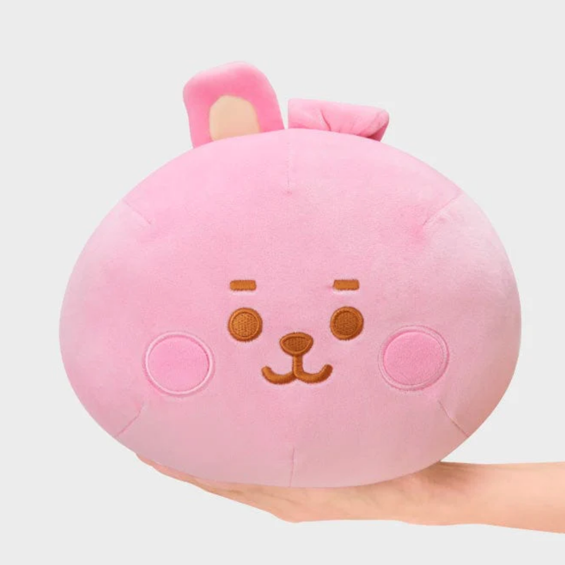BT21 Baby Mochi Face Cushion (M)