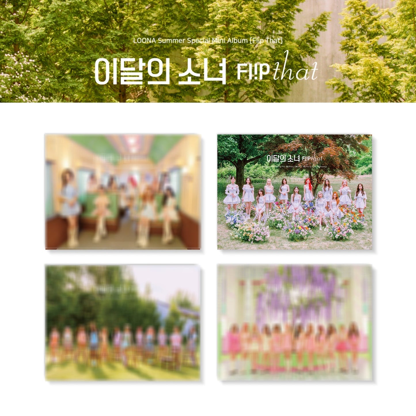 LOONA Summer Special Mini Album : Flip That (Random)