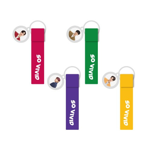 AB6IX SO VIVID Keyring