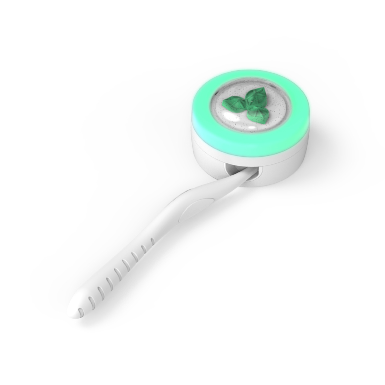 DAY6 Even of Day Toothbrush Sterilizer