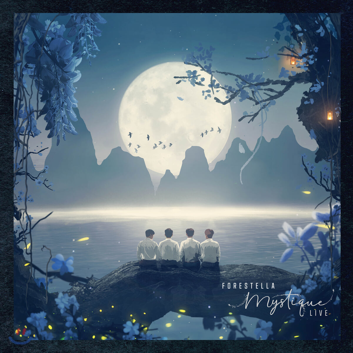 Forestella Mystique Live DVD