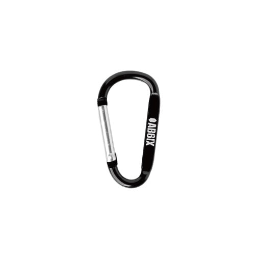AB6IX Logo Carabiner Keyring