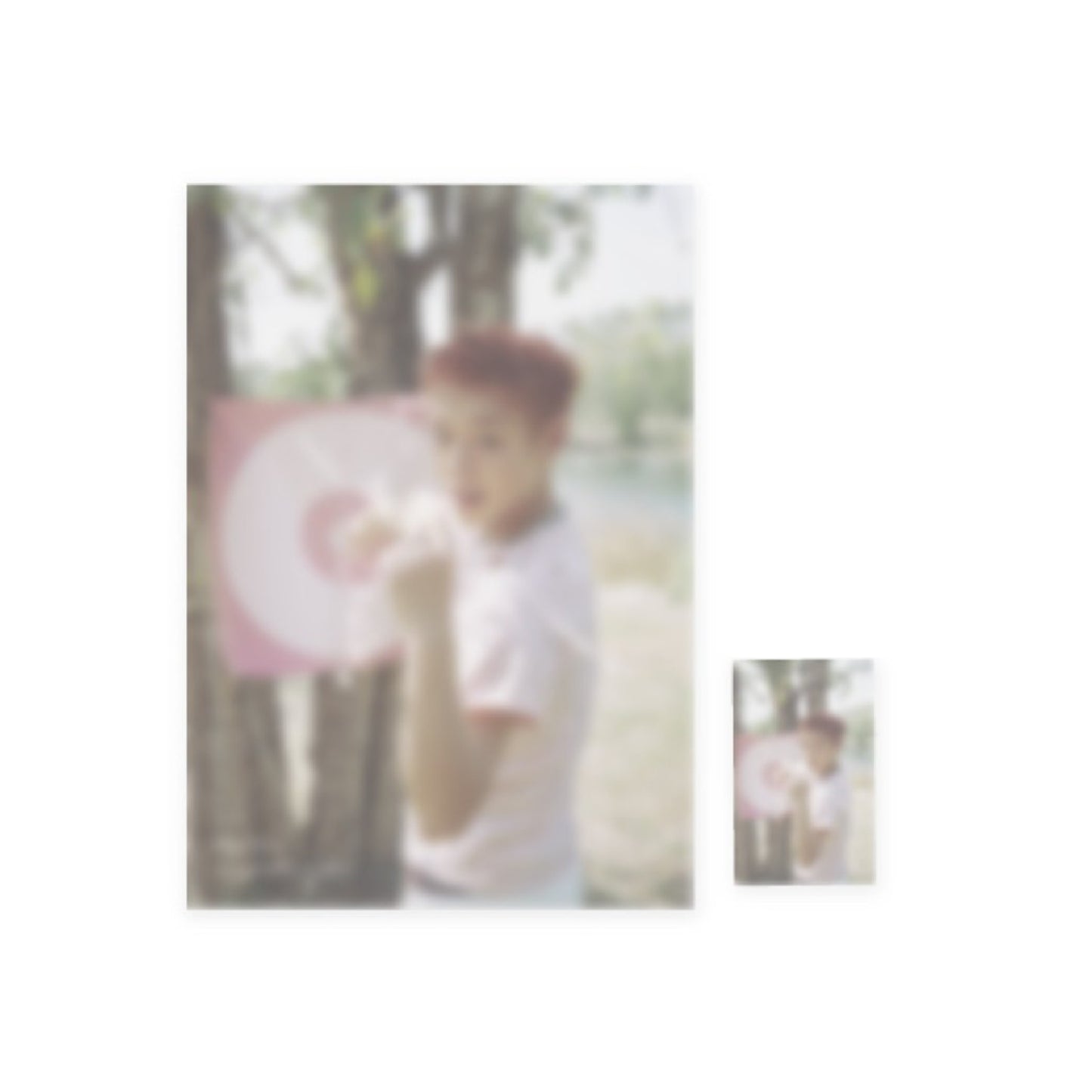 PARK JI HOON [REFLECT] Chiffon Fabric Poster
