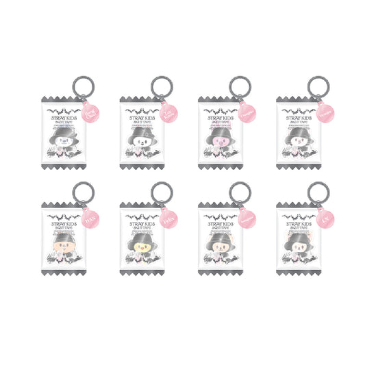 STRAY KIDS [DO IT Pop Up] SKZOO Shaker Keyring