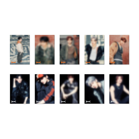 NOWZ [IGNITION] Photo