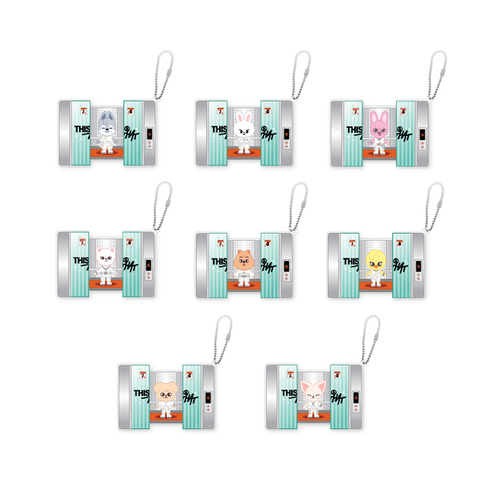 STRAY KIDS [THIS & THAT] SKZOO Capsule Acrylic Keyring