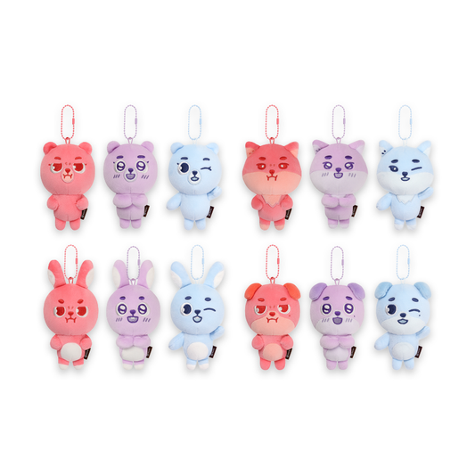 DAY6 [The DECADE FINALE] DENIMALZ Secret Mini Plush