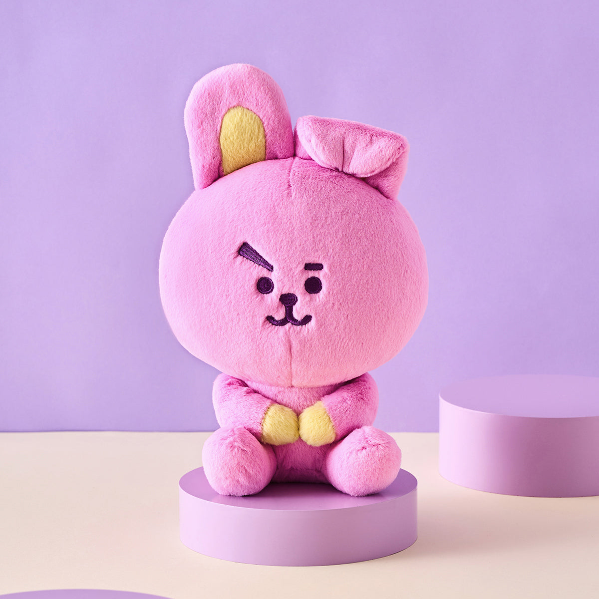 BT21 Basic Sitting Plush