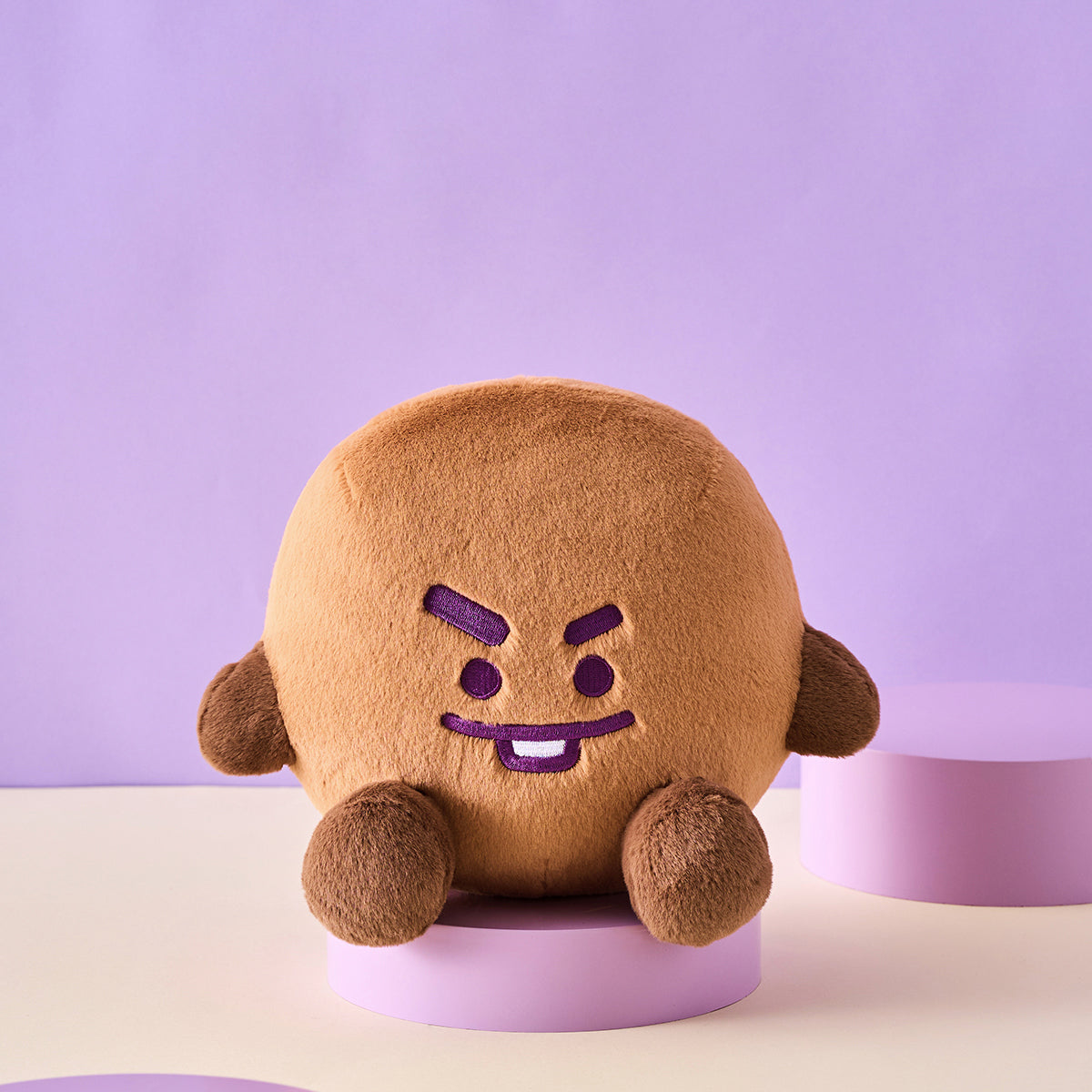 BT21 Basic Sitting Plush