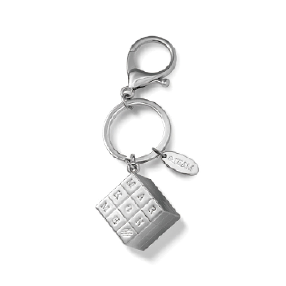 &TEAM [Mark on Me] Cube Keyring