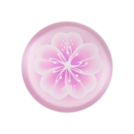 IU [A Flower Bookmark Pt. 3 (꽃갈피 셋)] Glass Paperweight