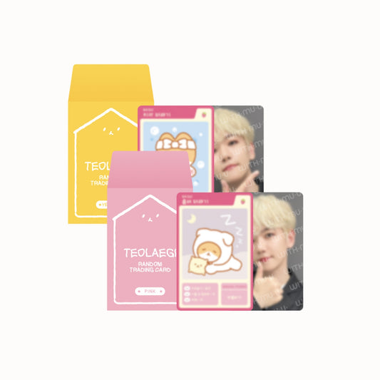 BAEKHYUN [2023 TEO-LAE-GI ZIPDURI] Random Trading Card Set