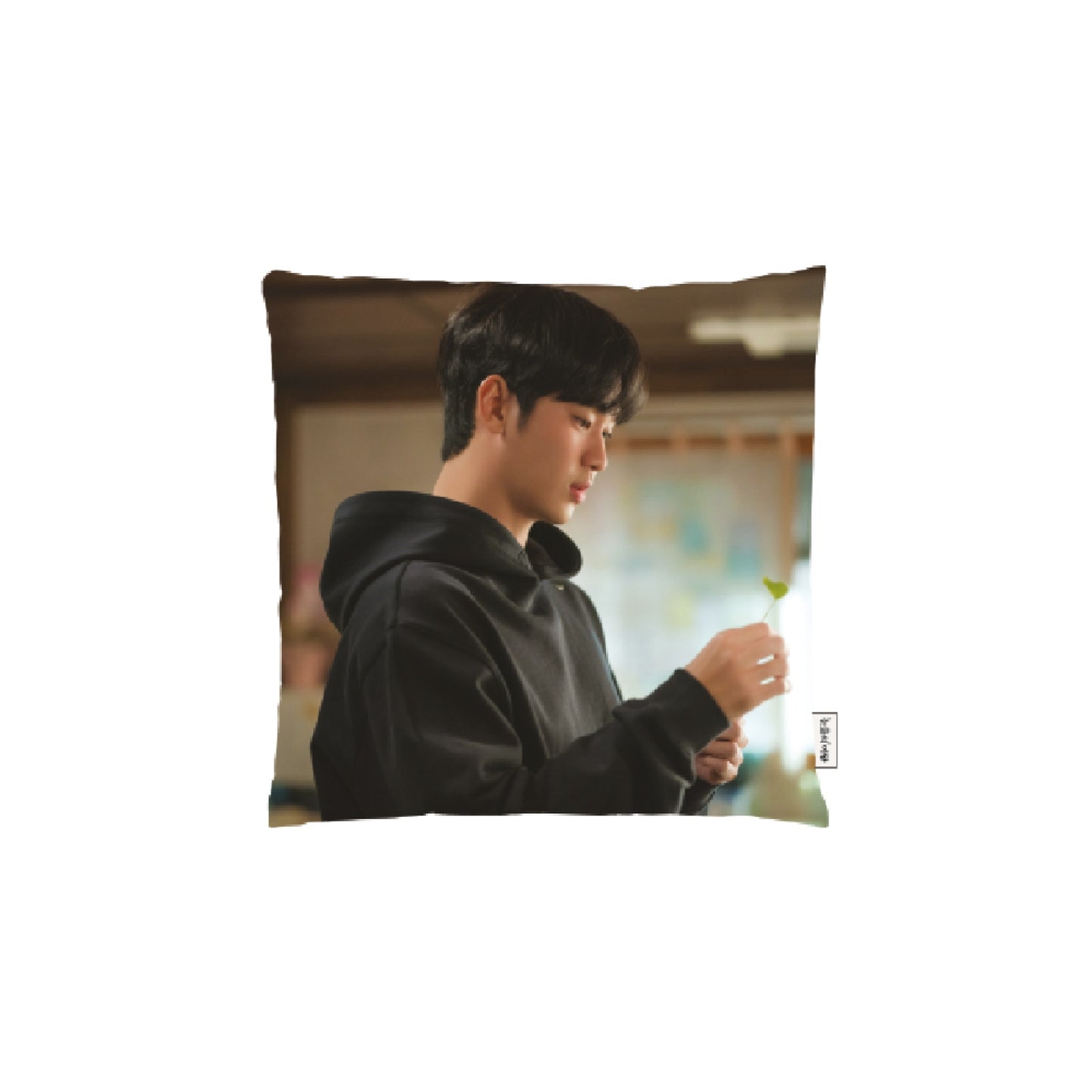 Queen of Tears [K-Drama Pop Up] Cushion