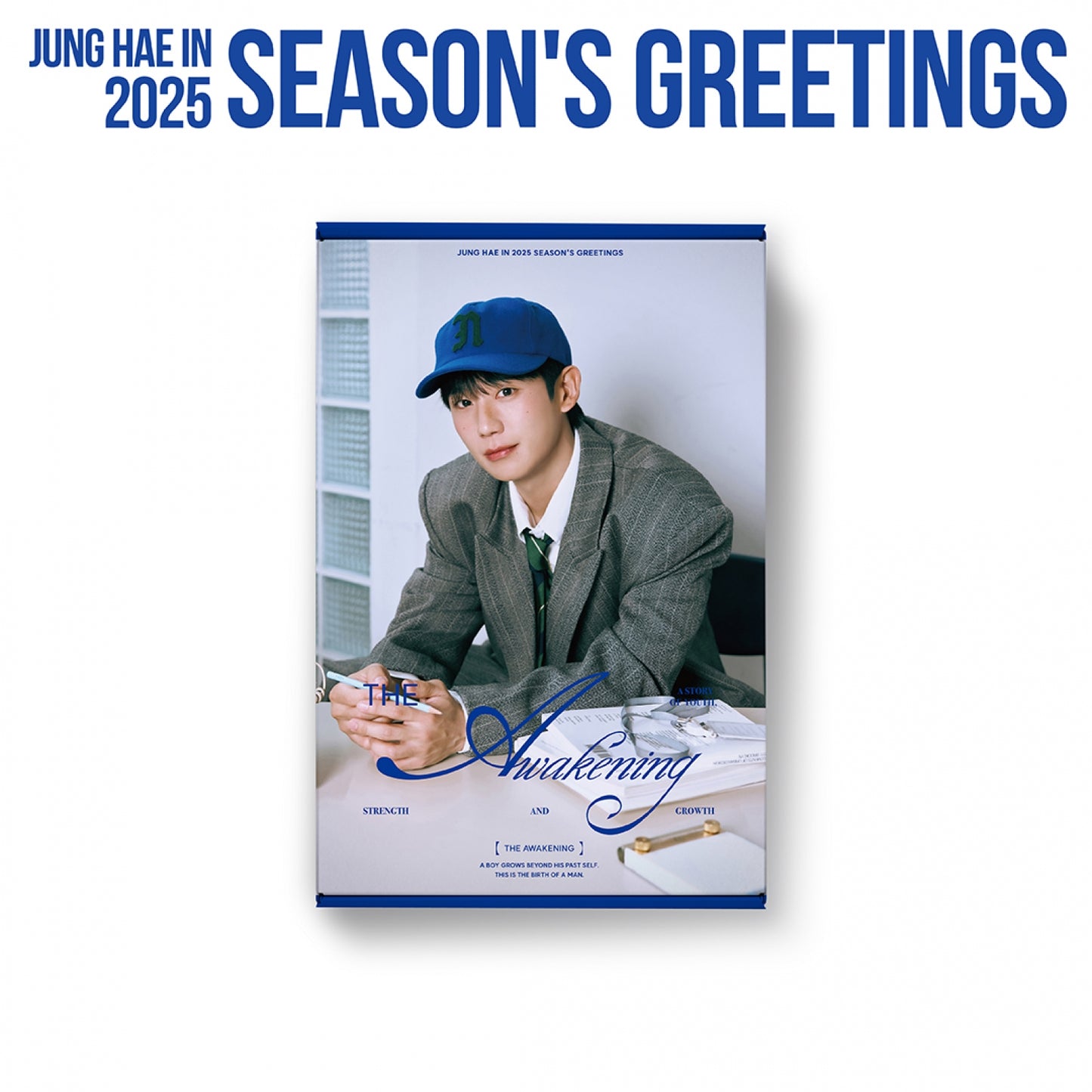 JUNG HAE IN 2025 Season's Greetings [The Awakening]