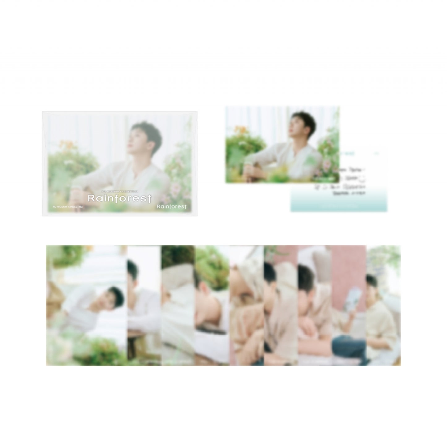 FORESTELLA KO WOORIM [Rainforest] Postcard Set
