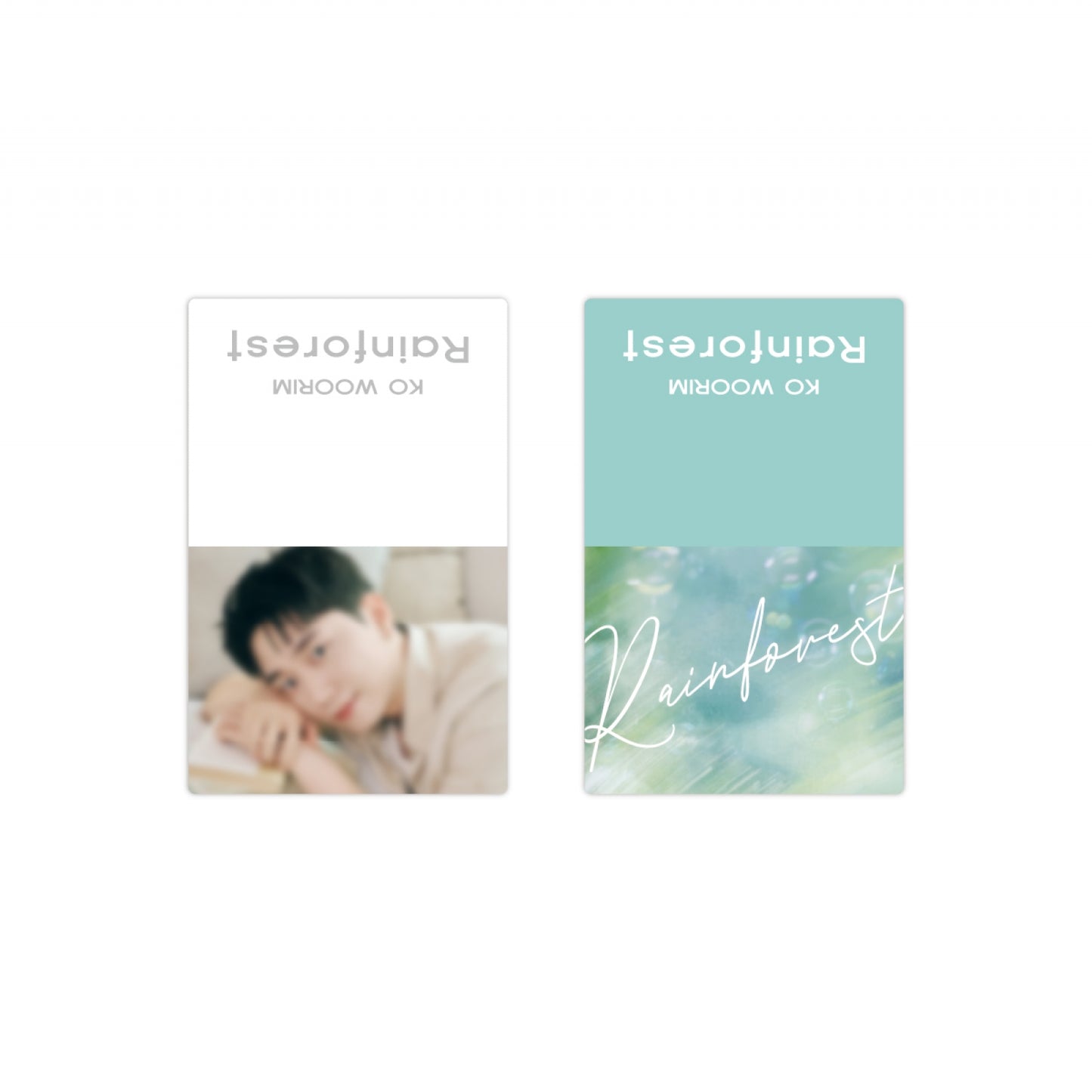 FORESTELLA KO WOORIM [Rainforest] Bookmark Set