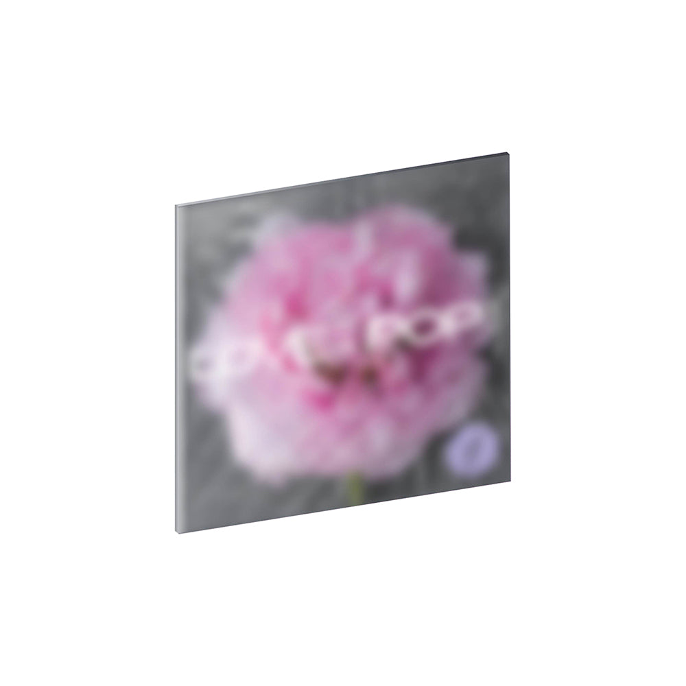 tripleS Album : LOVE&POP pt.1 (Wappen Album)