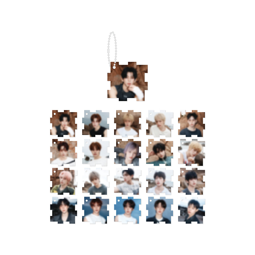 idntt [Fan-con Tour : 20] Random Acrylic Puzzle Keyring