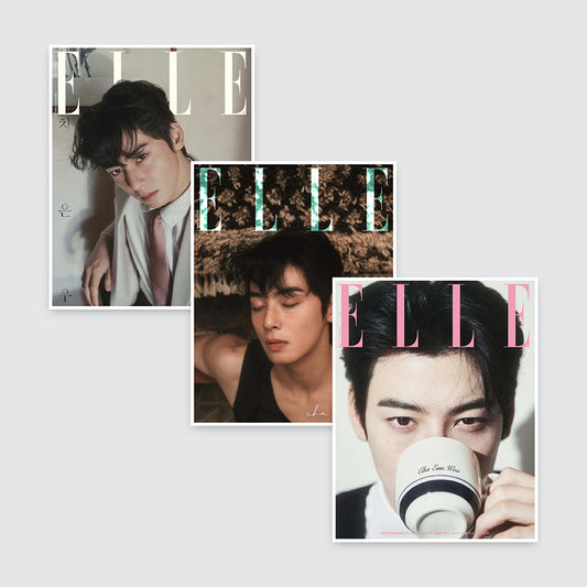 ELLE Korea Magazine February 2025 : Cha Eunwoo Cover