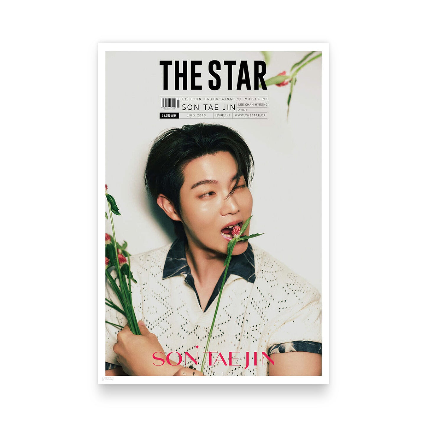 THE STAR Korea July 2025 : SON TAE JIN Cover (Photocard Included)