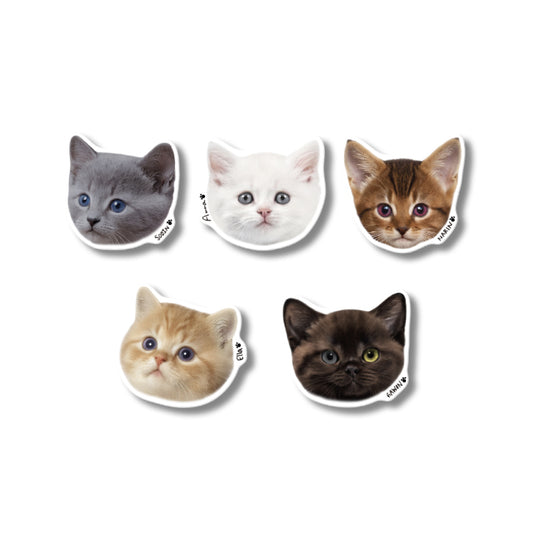 MEOVV [MY EYES OPEN VVIDE] Pop Socket