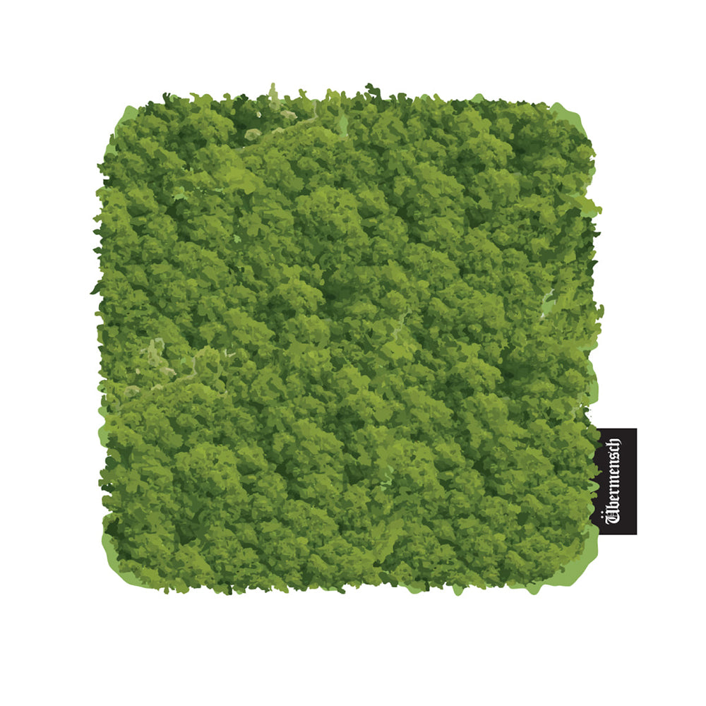 G-DRAGON [2025 World Tour Encore in Seoul] Coaster