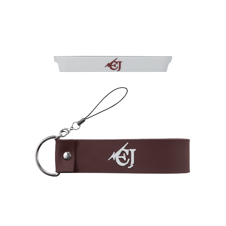 &TEAM [2025 Concert : AWAKEN THE BLOODLINE] Official Lightstick Deco Set