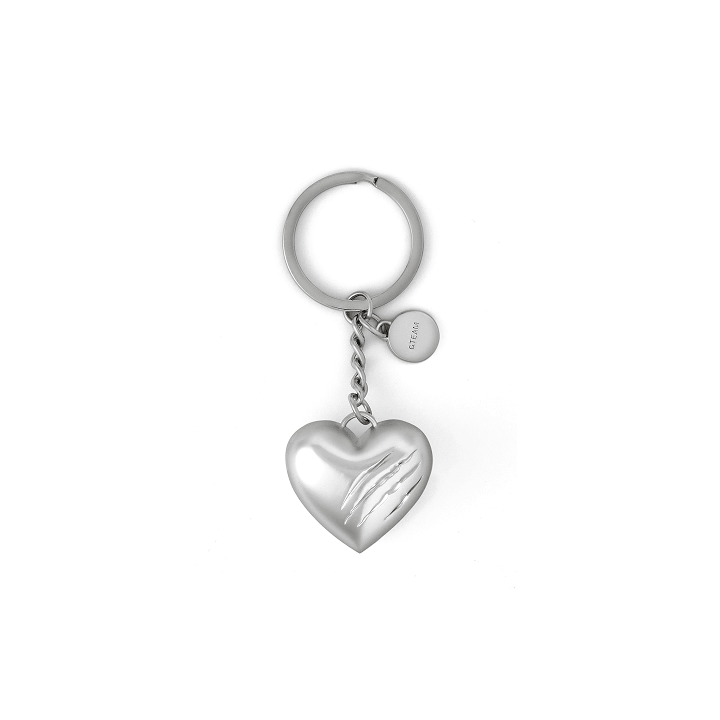 &TEAM [Back To Life] Keyring