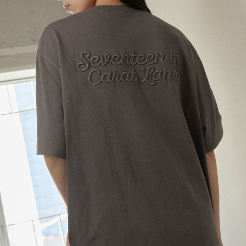 SEVENTEEN [2024 Carat Land] S/S T-Shirt (Gray)