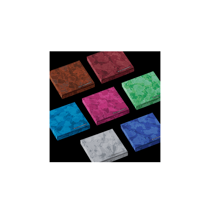 ENHYPEN 7th Mini Album : THE SIN : VANISH (FUGITIVES ver)