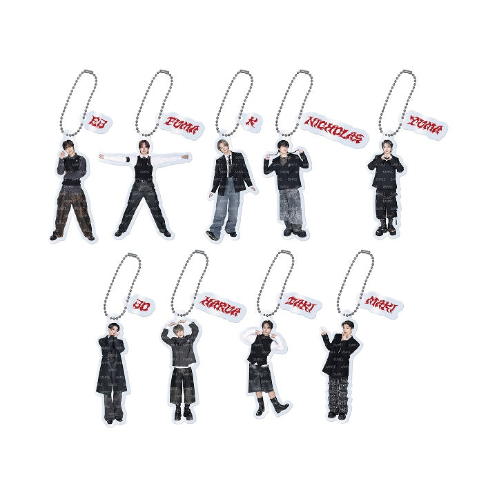 &TEAM [Go in Blind] Random Acrylic Charm