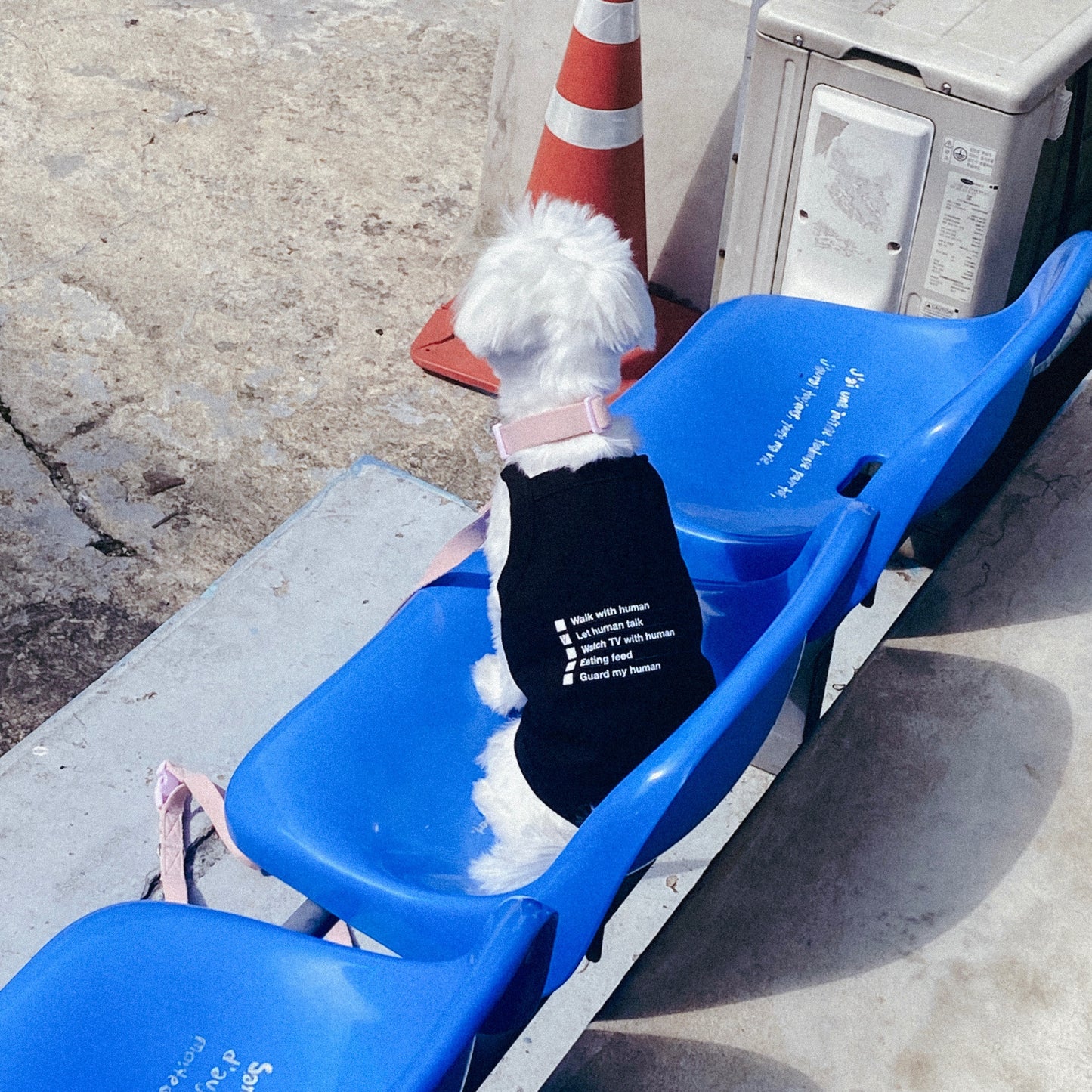 BTS V [LAYOVER] Pet T-Shirt