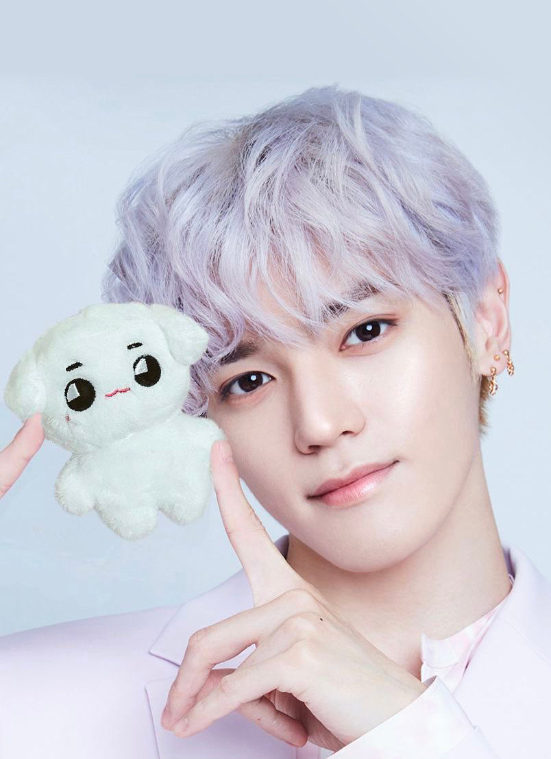 NCT Taeyong Tyongya Plush Doll