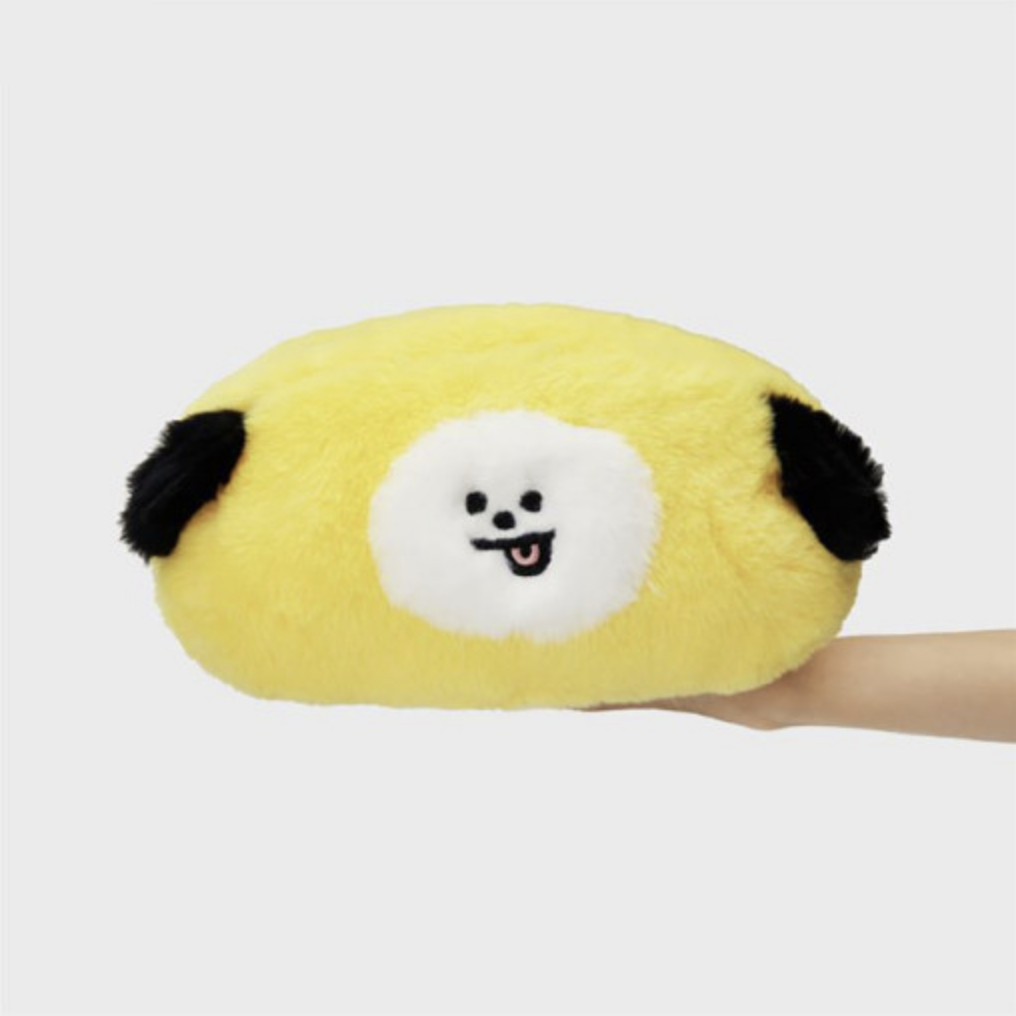 BT21 [Cozy Home] Tissue Case