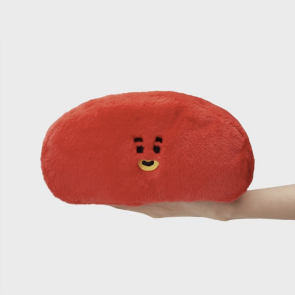 BT21 [Cozy Home] Tissue Case