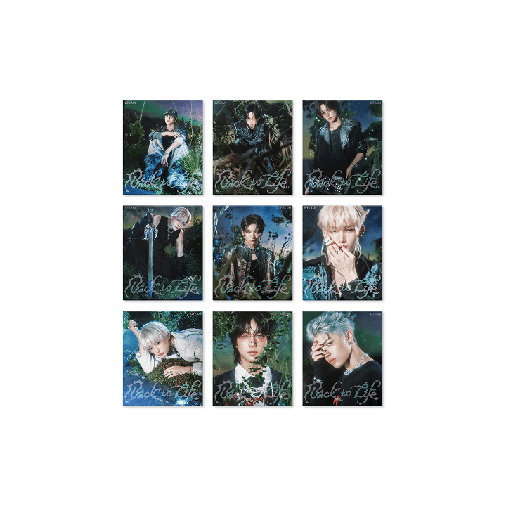 &TEAM KR 1st Mini Album : Back to Life (ROAR ver)