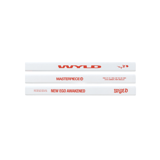 NCT TAEYONG [WYLD] WYLD Pencil Set