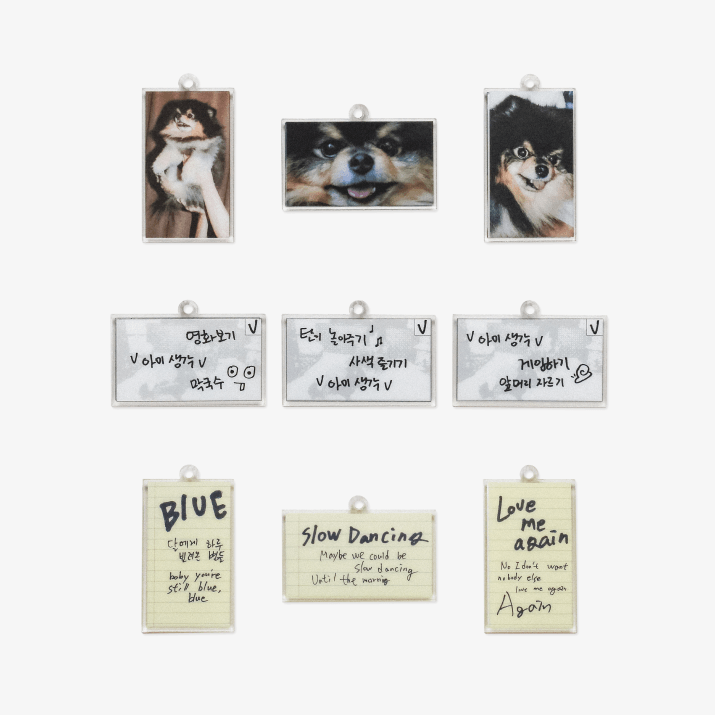 BTS V [LAYOVER] Keyring Set