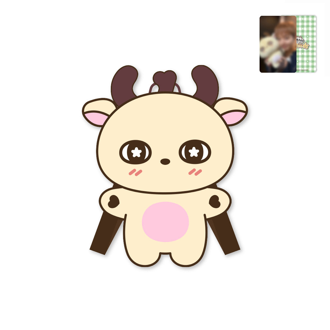 PARK JI HOON [SOSIM-I'S New Friends] SOSIM-I Picnic Character Bag