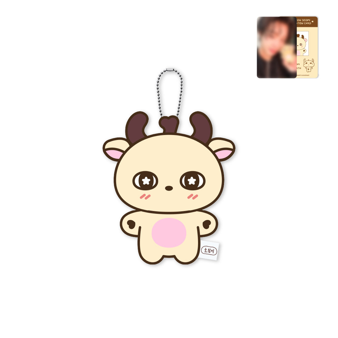 PARK JI HOON [SOSIM-I'S New Friends] SOSIM-I Plush Keyring