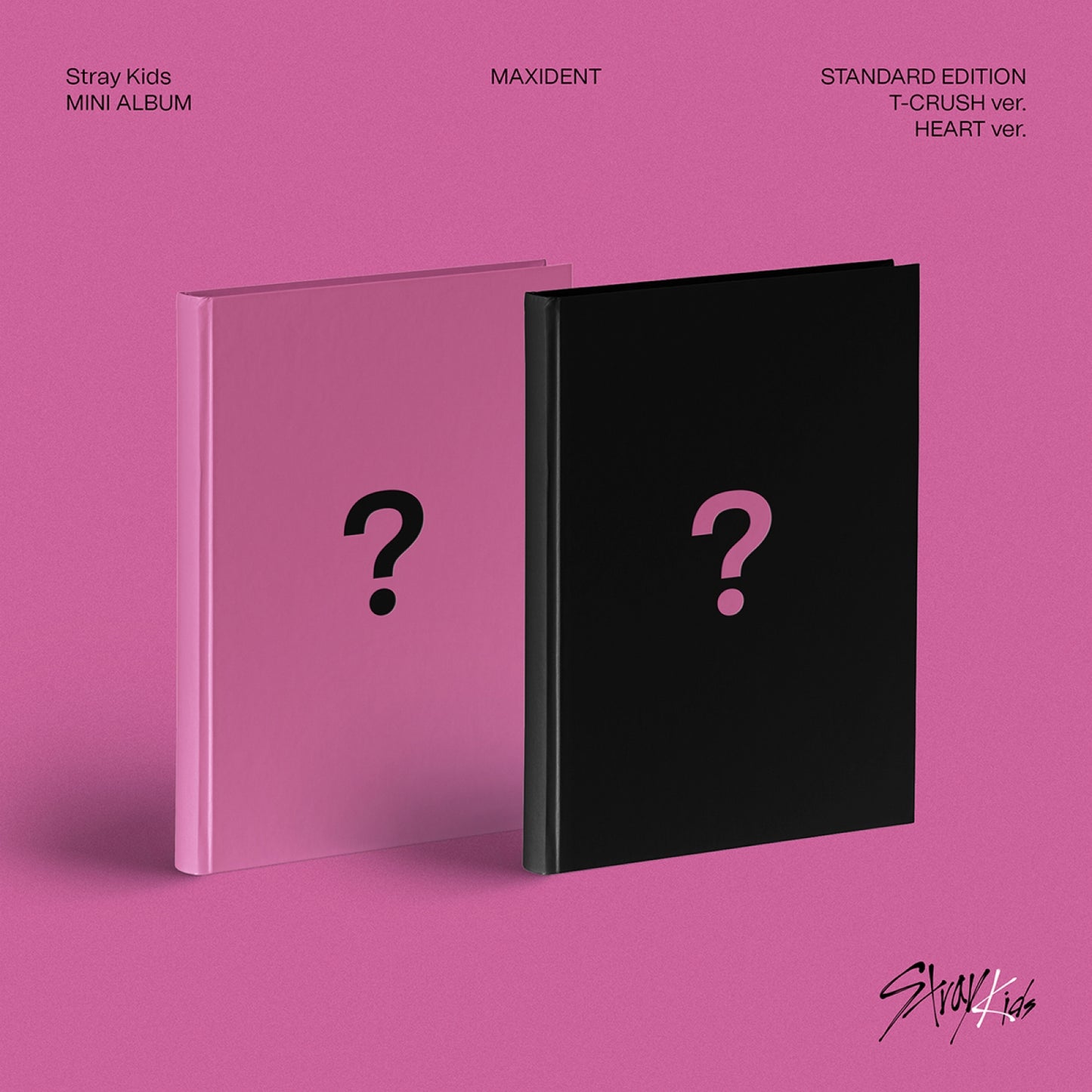 STRAY KIDS Mini Album : MAXIDENT (Normal Version)