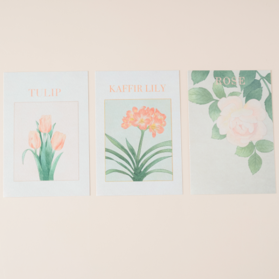 Korean Flower Postcard Set