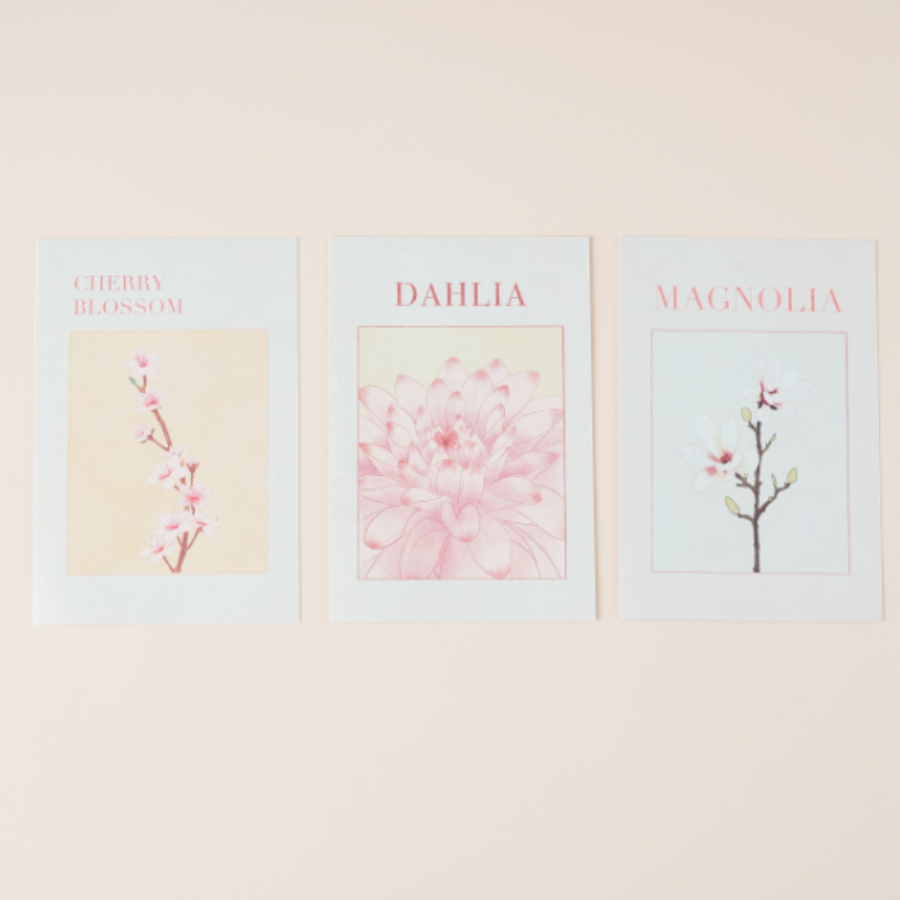 Korean Flower Postcard Set