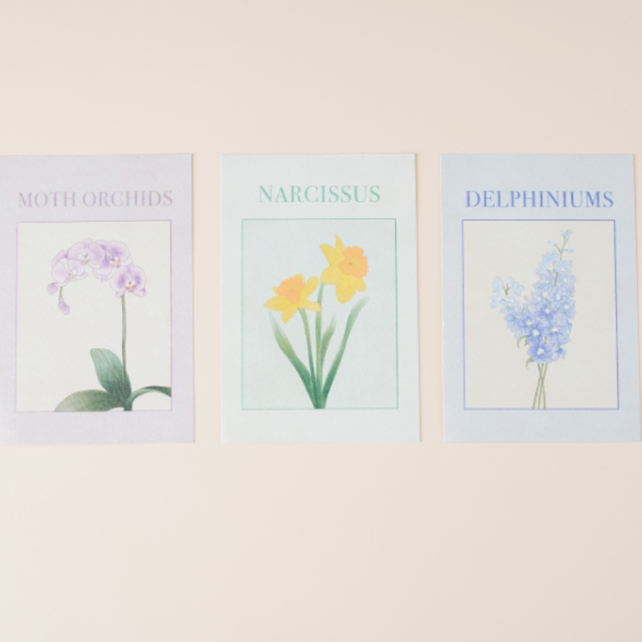 Korean Flower Postcard Set