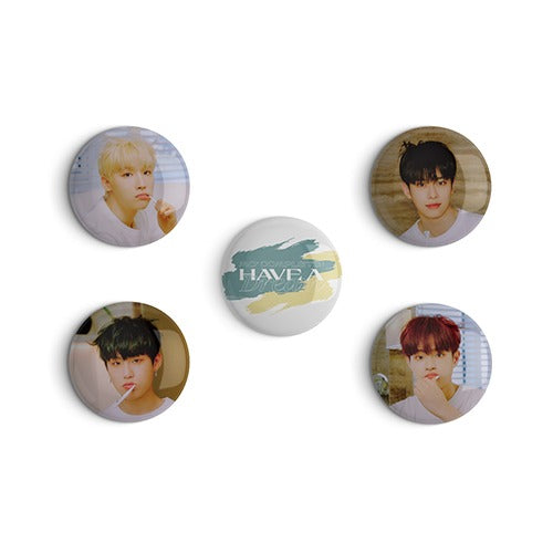 AB6IX HAVE A DREAM Pinbutton Set